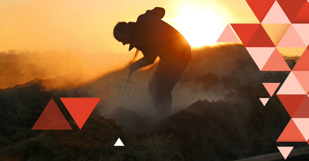 Professional Data Collection Secrets from the Experts at Quest Mindshare