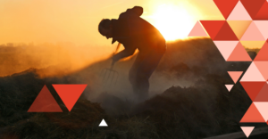 Professional Data Collection Secrets from the Experts at Quest Mindshare